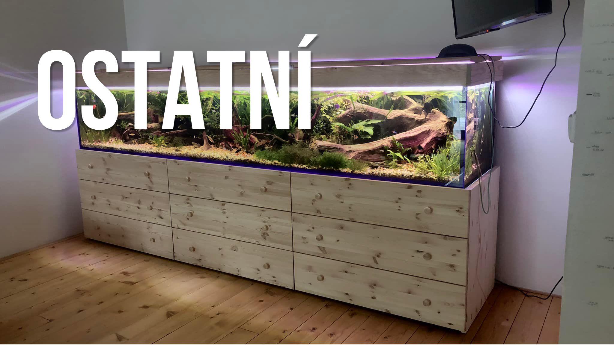 Ostatní projekty